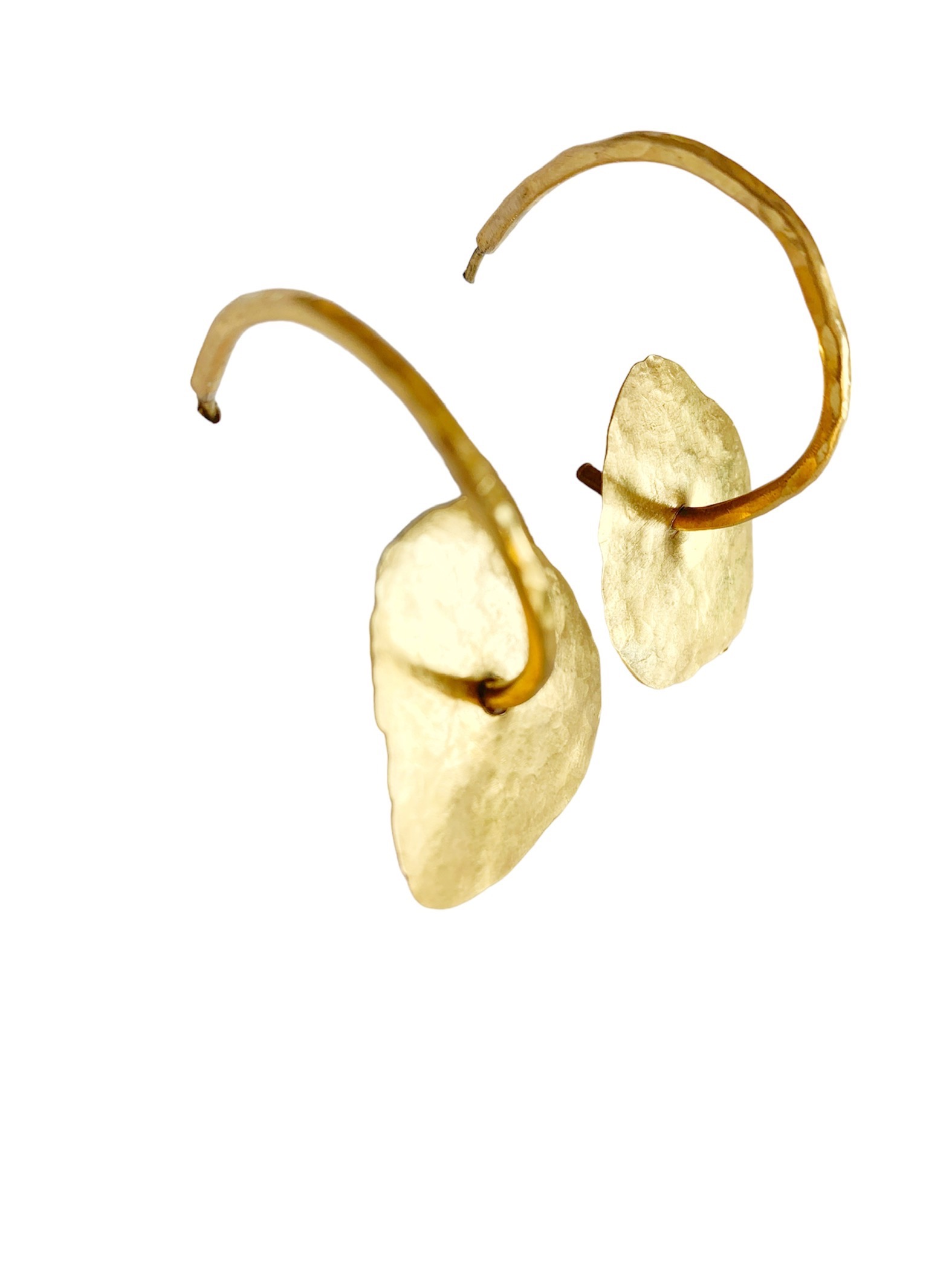 Lotus - Imagen 2